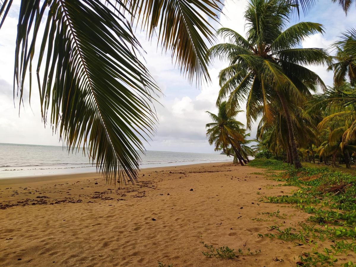 Flat Japaratinga Beach Daire Dış mekan fotoğraf