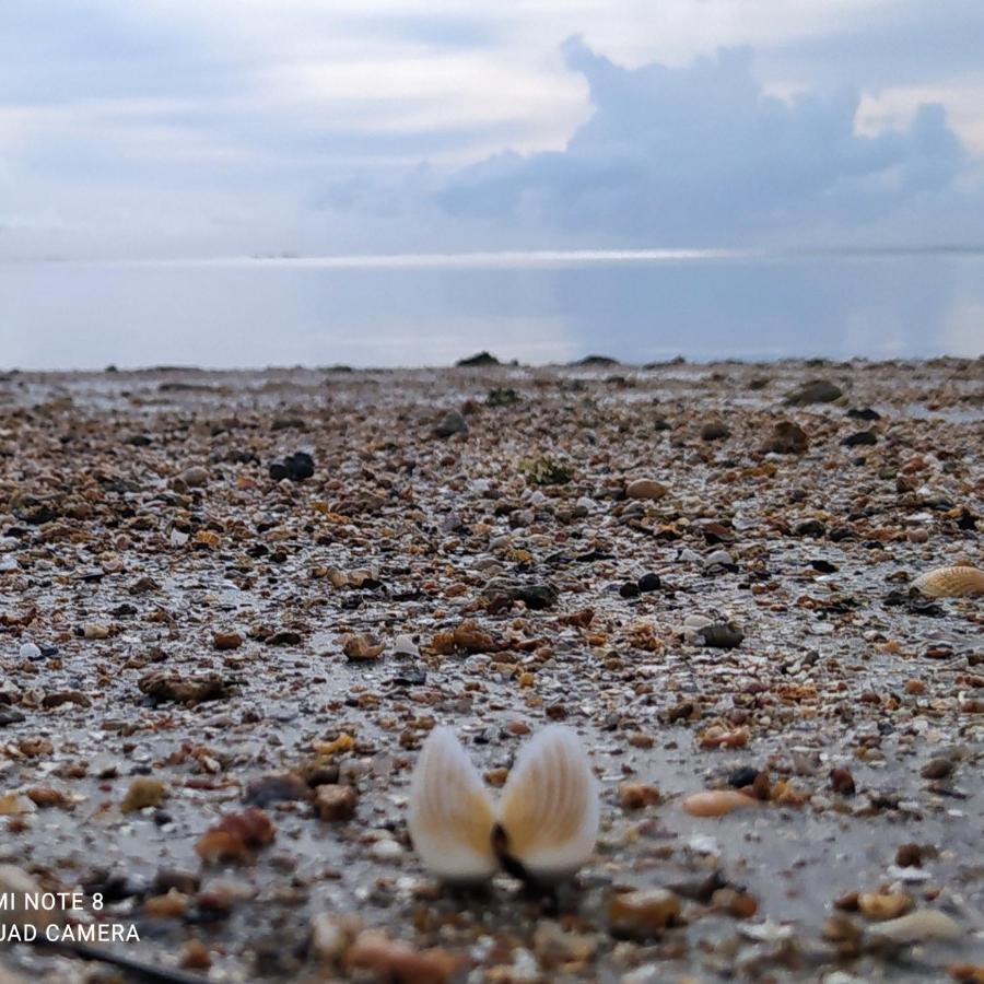 Flat Japaratinga Beach Daire Dış mekan fotoğraf